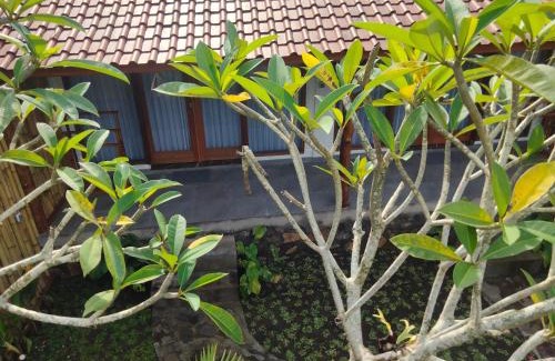 Medewi House | Meera house and stay