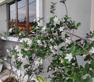 Klebang Besar Villa | Melaka Beach Villa