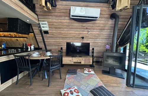 Ayas Other | Mersin Erdeml