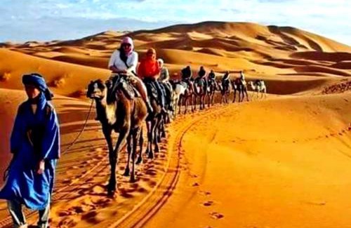 Taouz Other | Merzouga Tours