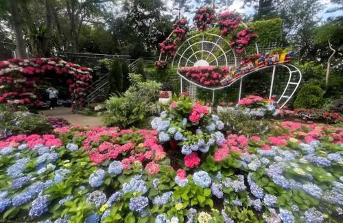 Sanyi House | Miaoli Sanyi Shantongyazhu Homestay