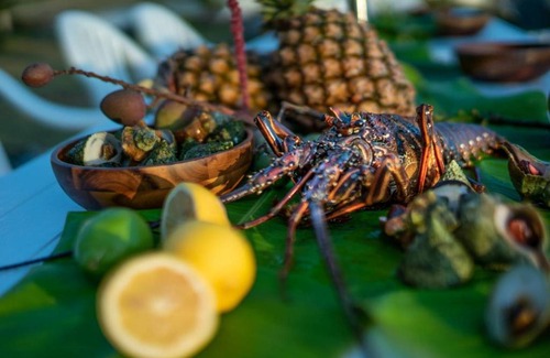 Baisha House | Migrator Intertidal Homestay