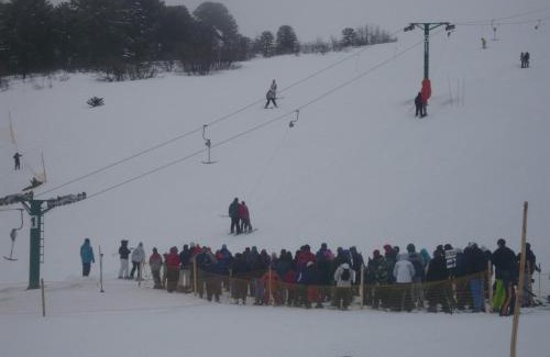 Villa Pehuenia Cabin | Milagros de Montaña