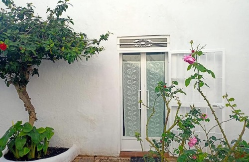 San Ambrosio Apartment | Mini Hibiscus