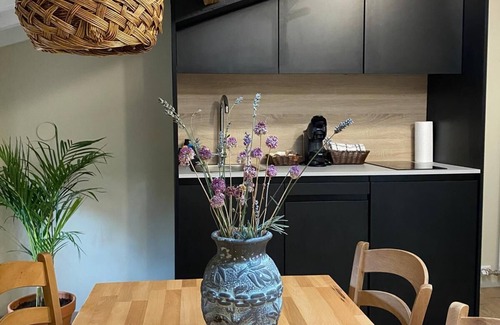 Villalobar de Rioja Apartment | Miralobueno - Spectacular penthouse with dream views