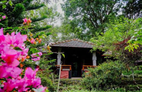 Sulthan Bathery Resort | Misty Night Wayanad Pool Resort