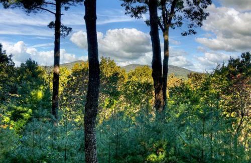 Ellijay House | Misty Ridge