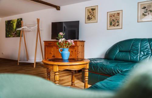 Bad Schandau Apartment | MittenDrin