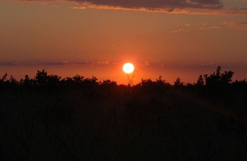 Cove Parja Apartment | Modern Apartment in Knin with Garden