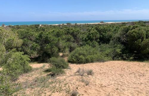 Lomas Apartment | Modern Apartment Near Beach