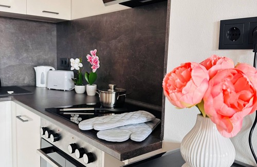 Freital Apartment | Modern apartment ZS15 with WLAN and fully equipped kitchen