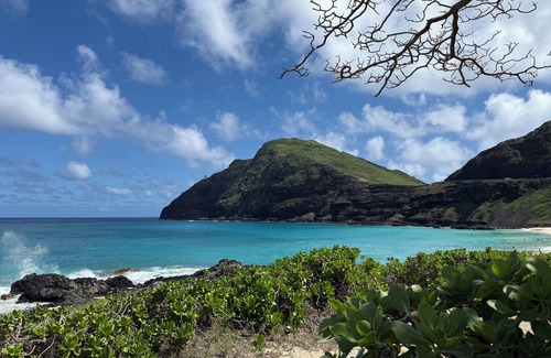 Waialua Apartment | Modern Beach Apartment North Shore Home