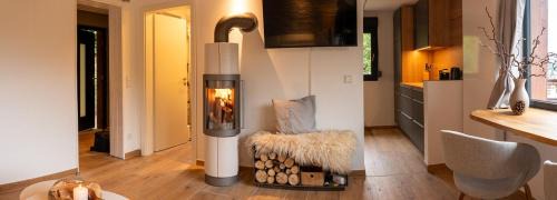 Zella-Mehlis House | Modern Birch Chalet At Ruppberg