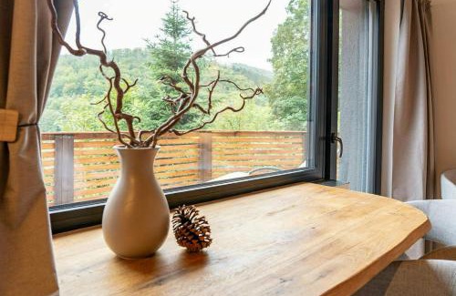 Zella-Mehlis House | Modern Birch Chalet At Ruppberg