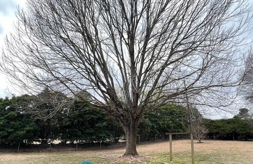 Mauldin House | Modern Home