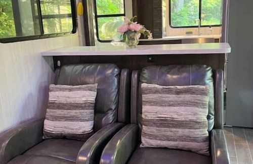 Grand Rapids House | Modern RV come “GLAMP” in style.