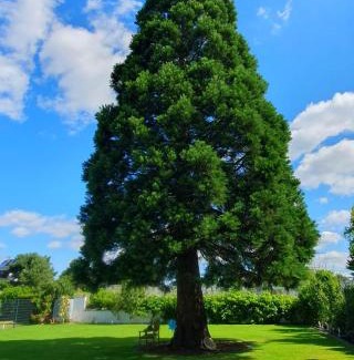 Meckenheim Apartment | Moderne Unterkunft mit orientalischem Flair und Top-Lage näher Bonn