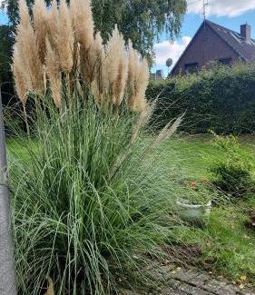 Pinneberg Apartment | Moderne Wohnug mit Terrasse