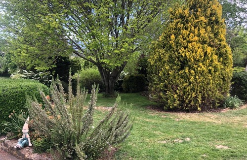 Mole Creek House | Mole Creek Hideaway