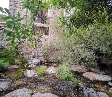 San Martin del Pimpollar Apartment | Molino Navarenas