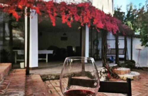 Salar House | Molino Viejo de Salar