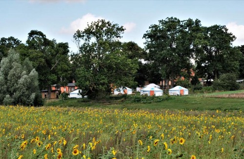 Velgast Other | mongolische Jurte im ART.Quartier