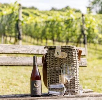 Straden Bed & Breakfast | Monschein Weingut Straden