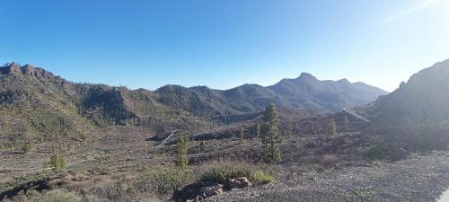 San Bartolome de Tirajana Apartment | Montaña Las Tortolas