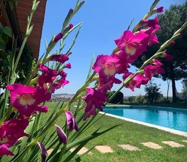 Montemor-o-Novo Bed & Breakfast | Monte CHORA CASCAS