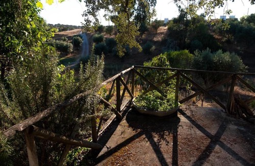 Malarranha House | Monte Courela: piscina, natureza e paz no Alentejo