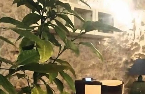 Toffia Bed & Breakfast | Monte degli Elci b&b