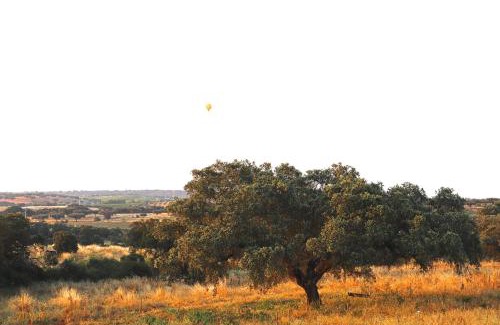 Terena House | Monte Dos Vicentes Herdade da Yucca