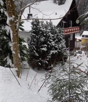 Fehrenbach Apartment | Monteur- und Ferienwohnung Waldrauschen