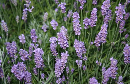 Berghausen Apartment | Monteur-/und Ferienwohnung Diehl