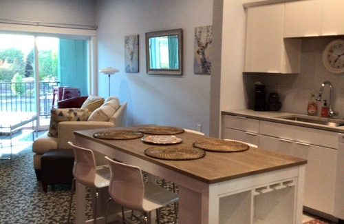 Central Area Apartment | Month to Month Downtown Salem OR. Loft Apartment 229