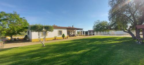 Viana do Alentejo House | Montinho do Palanque