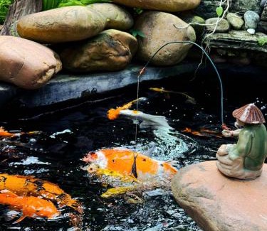 Son Tay Apartment | Moon Garden - Homestay Đường Lâm, Hà Nội