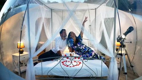 Camerota Other | Moonlight Bubble Room
