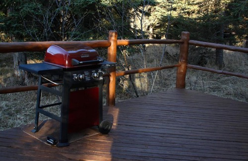 Anchor Point Cabin | Moose Cabin