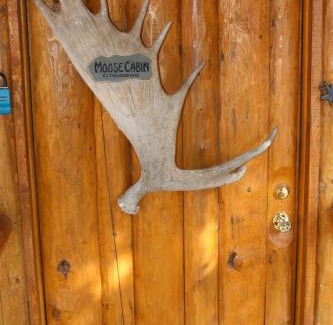 Anchor Point Cabin | Moose Cabin