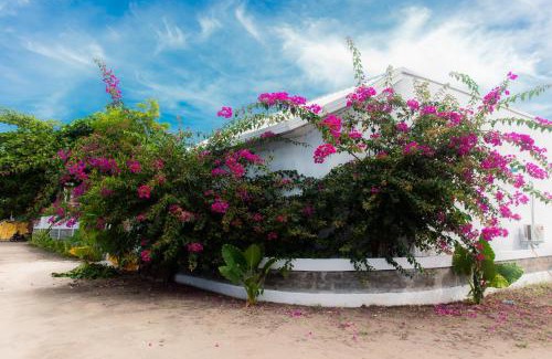 Baa Atoll House | Moro Kihaadhoo