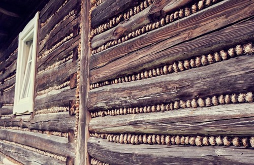 Wytrzyszczka House | Morowo chałupa