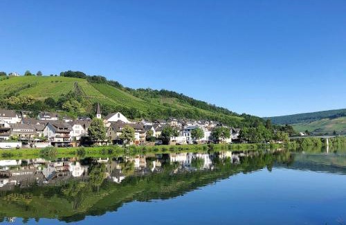 Kaimt Apartment | Mosel Fewo43