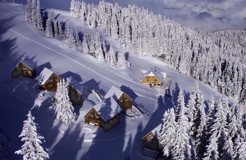 Bad Sankt Leonhard im Lavanttal Ski Chalet | MoselebauerAlm