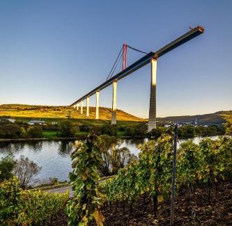 Andel Apartment | Moseltalblick