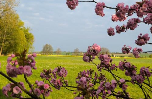 Betschdorf Bed & Breakfast | Moulin de Schwabwiller