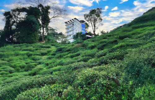 Karsiyang Hotel | Mount Bashera Boutique Hotel