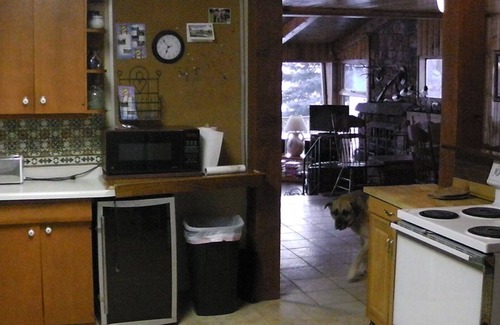 Durango - Purgatory Cabin | Mountain Lodge - Family friendly and great for large gatherings and weddings