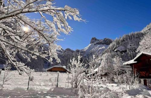 Kandersteg Apartment | Mountain View Apartment