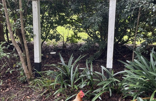 Mount Nebo Ski Chalet | Mt Nebo Railway Carriage and Chalet